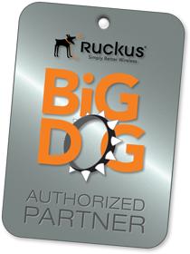 Ruckus Wireless